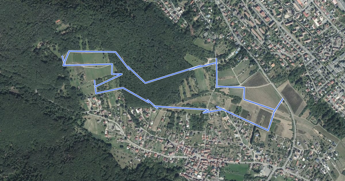 Маршрут Sentier viticole du Gottelstal на спутниковом снимке