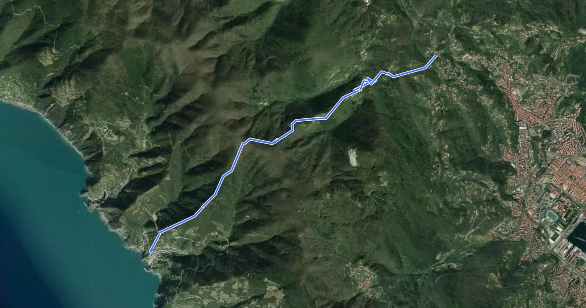 Маршрут Sentiero 501 - Riomaggiore – Sella La Croce – Carpena – La Foce на спутниковом снимке