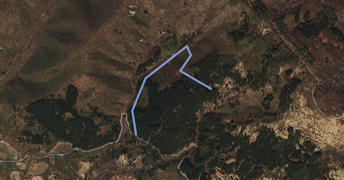 Маршрут Sentiero A4 di Monte Alpe на спутниковом снимке