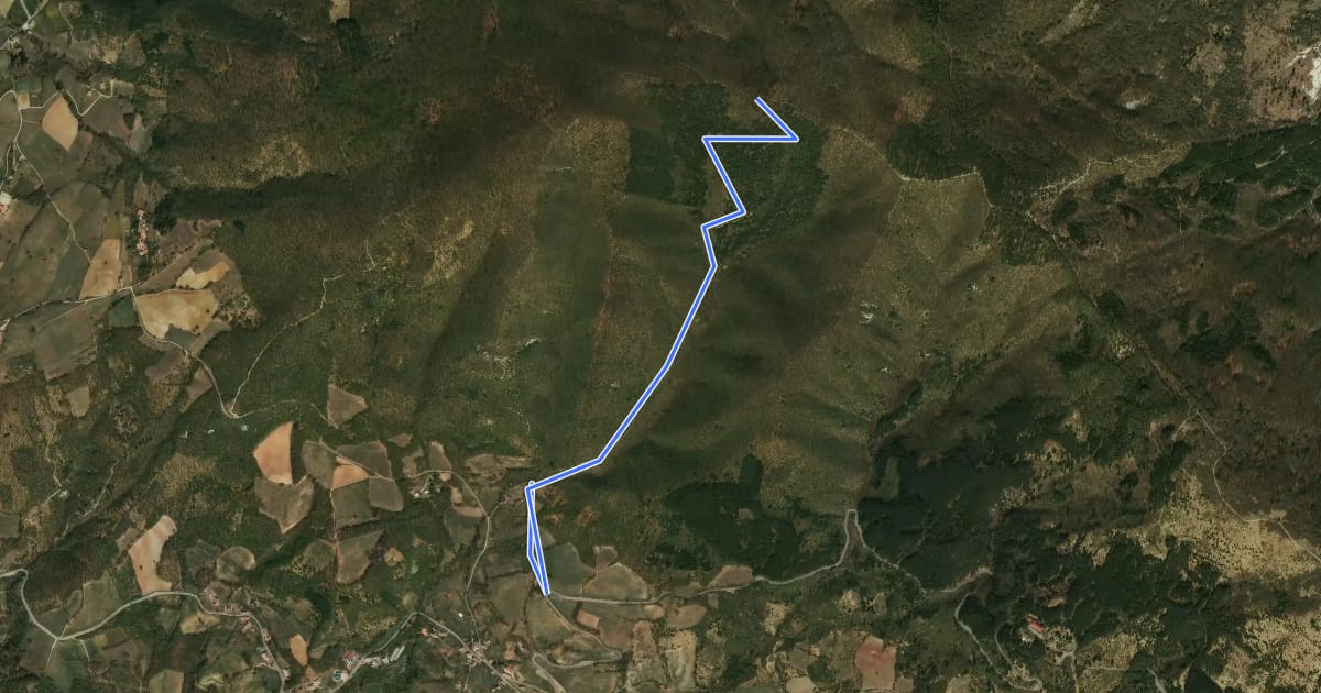 Маршрут Sentiero A8 di Monte Alpe на спутниковом снимке