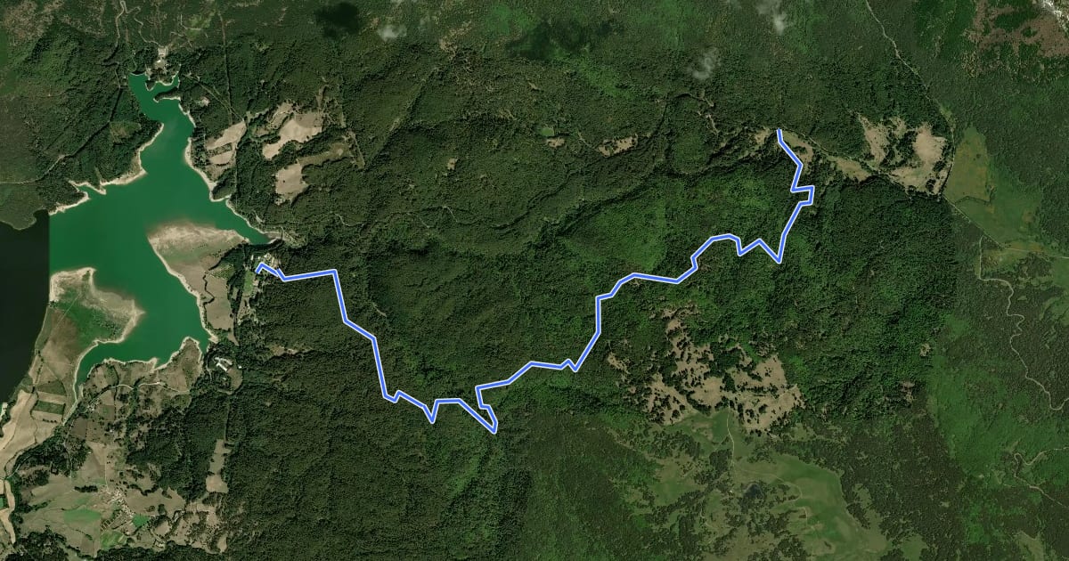 Маршрут Sentiero Del Bosco del Corvo на спутниковом снимке