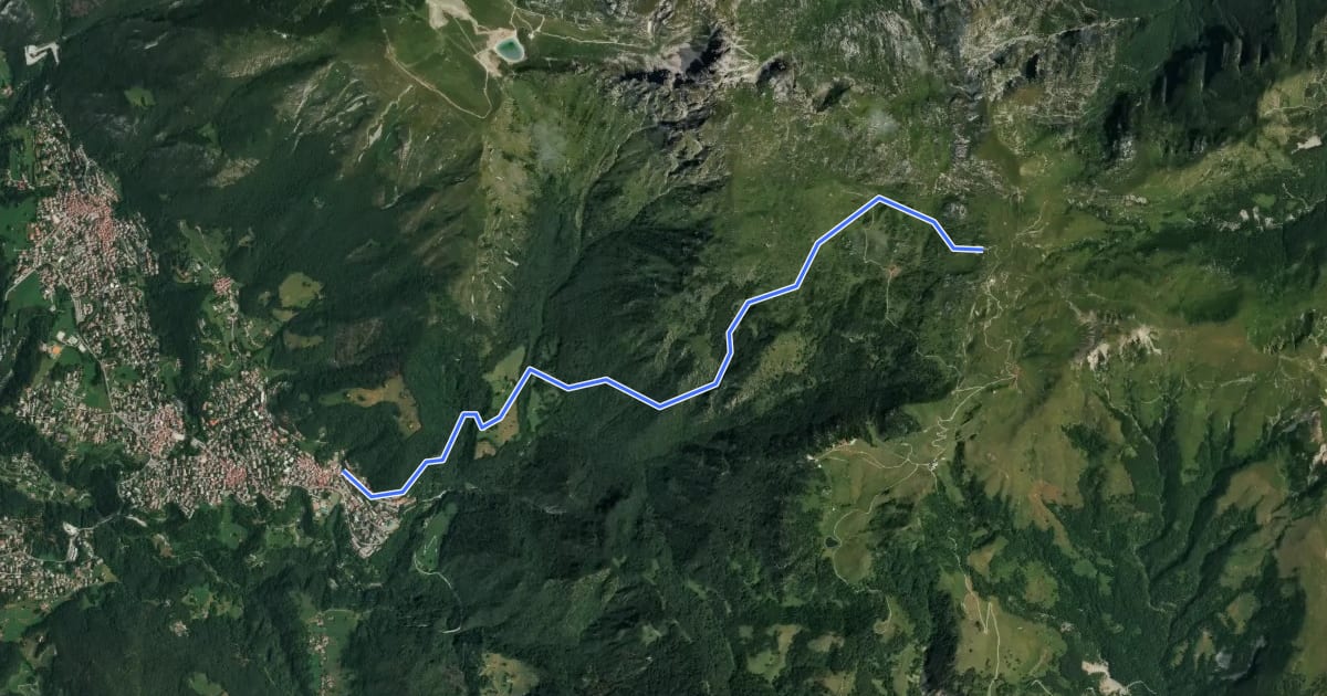 Маршрут Sentiero del Canale di Bürei на спутниковом снимке