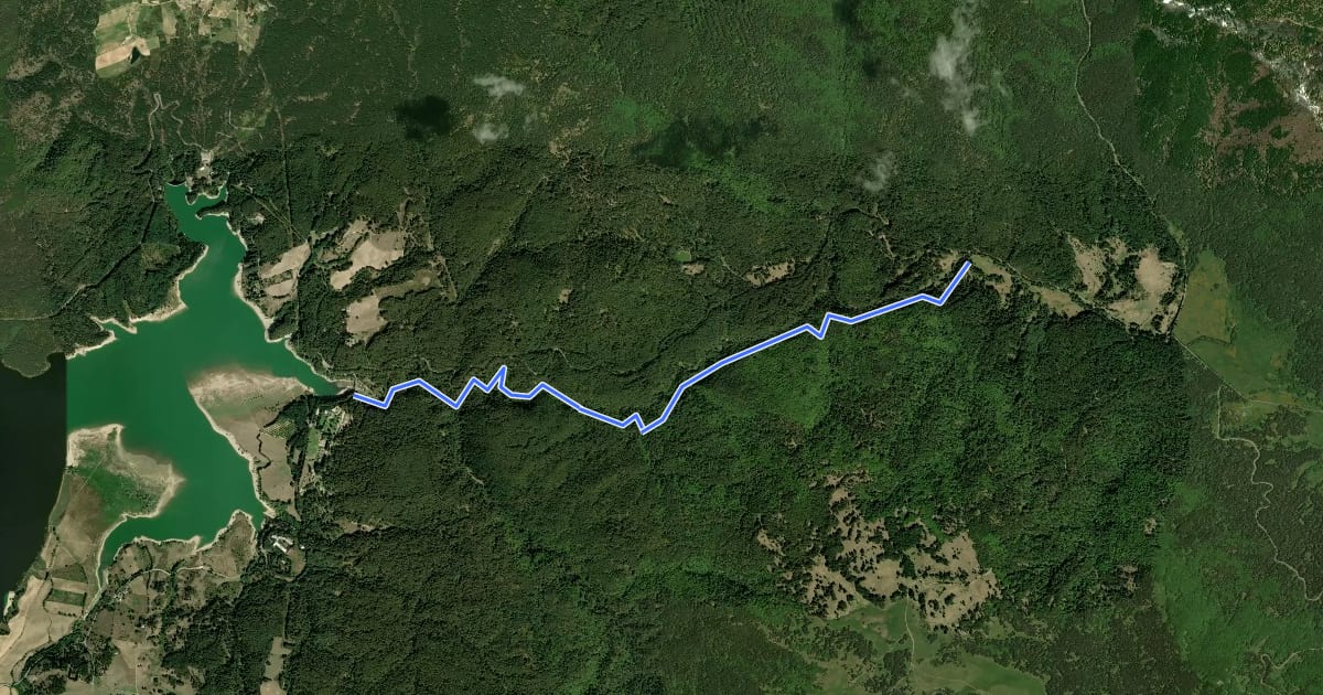 Маршрут Sentiero del Fiume Cecita на спутниковом снимке