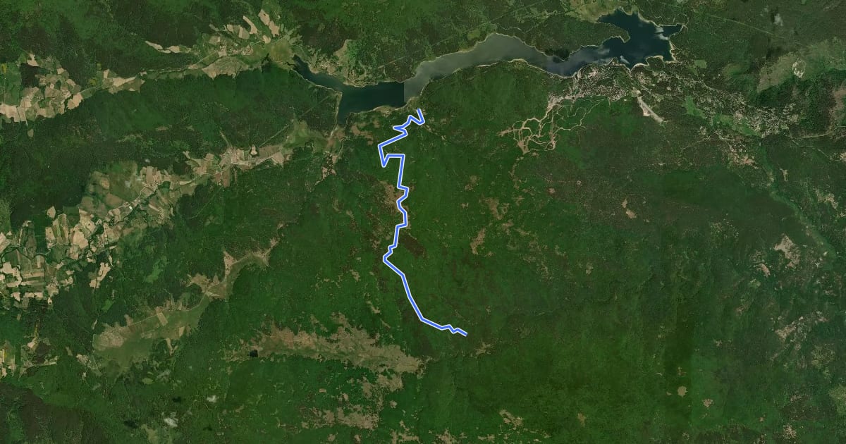 Маршрут Sentiero del Fiume Tassito на спутниковом снимке