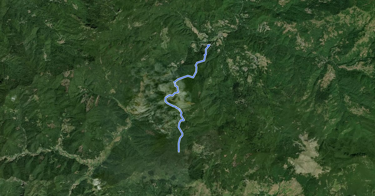 Маршрут Sentiero della Resistenza: Passo delle Rocche - Rezzoaglio на спутниковом снимке