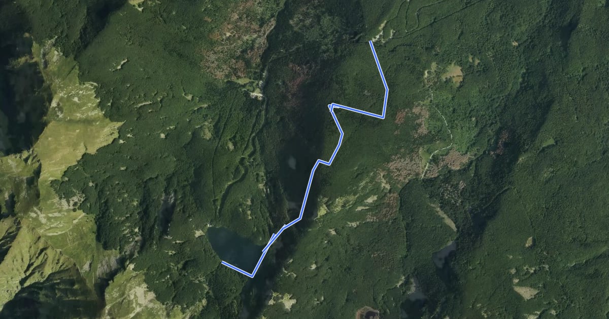 Маршрут "Sentiero delle Carbonaie" I Cancelli di Lagdei - bivio 723A - Lago Santo (emissario) - ex peschiera del Lago Santo на спутниковом снимке