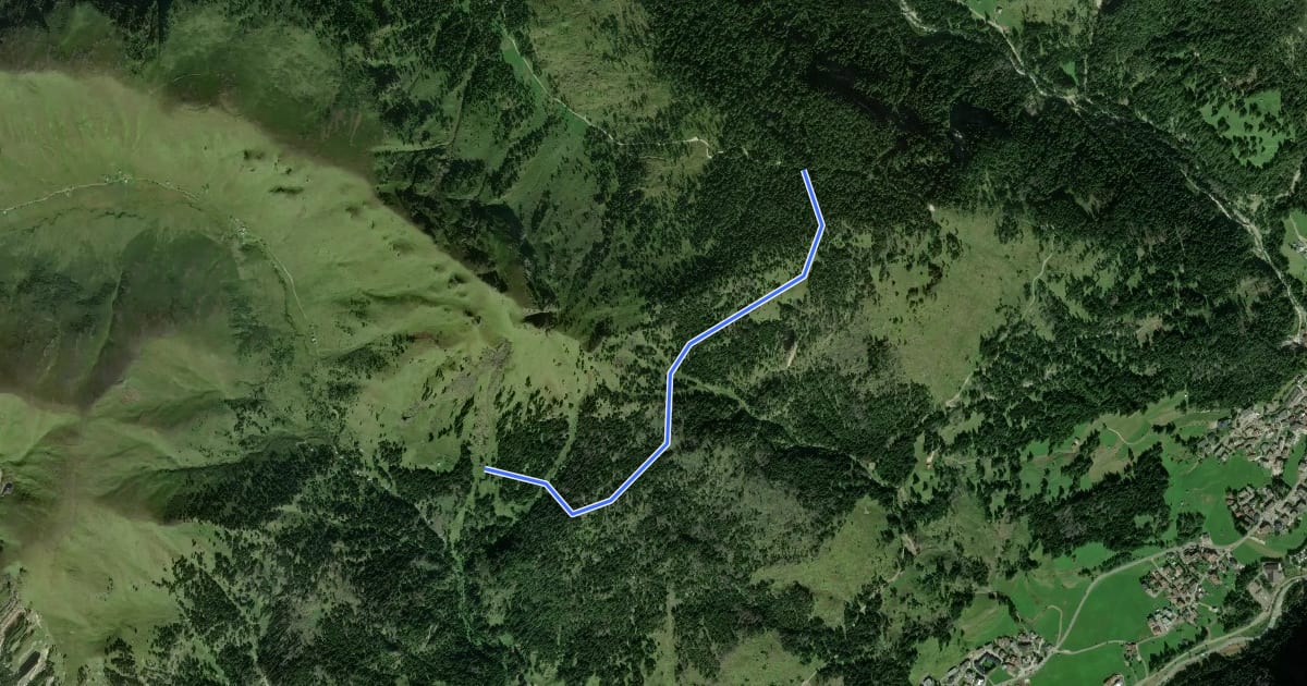 Маршрут Sentiero Forestale Prà Molin на спутниковом снимке
