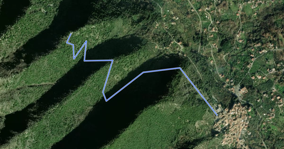 Маршрут Sentiero La Torre на спутниковом снимке