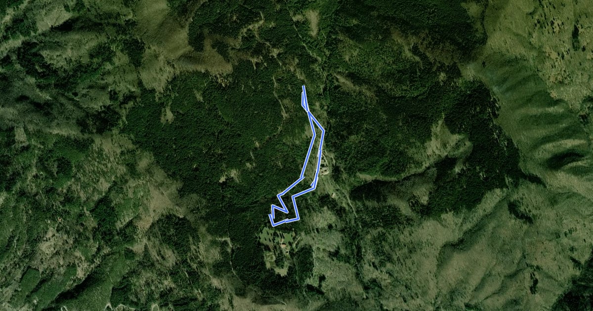 Маршрут Sentiero Natura Camaldoli на спутниковом снимке