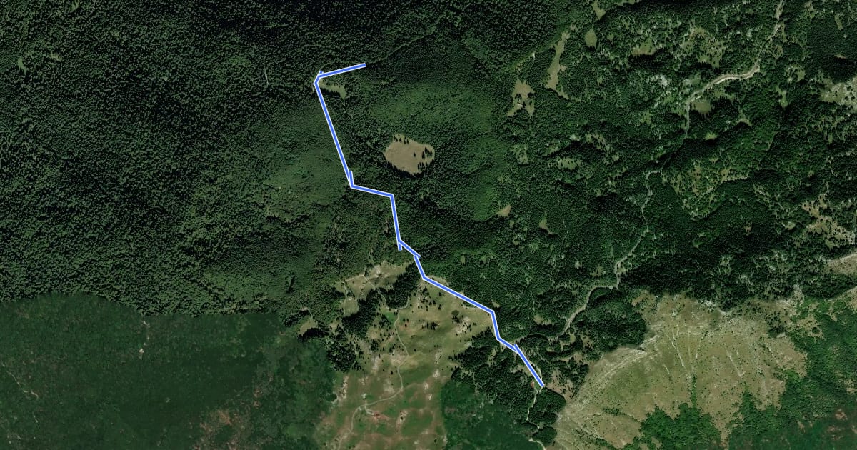 Маршрут Sentiero naturalistico B1 на спутниковом снимке