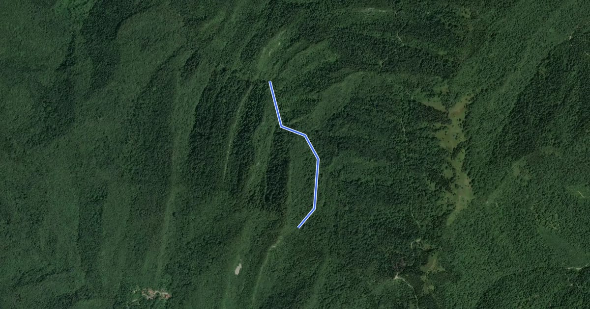 Маршрут Sentiero naturalistico dl Rio Gorgons на спутниковом снимке