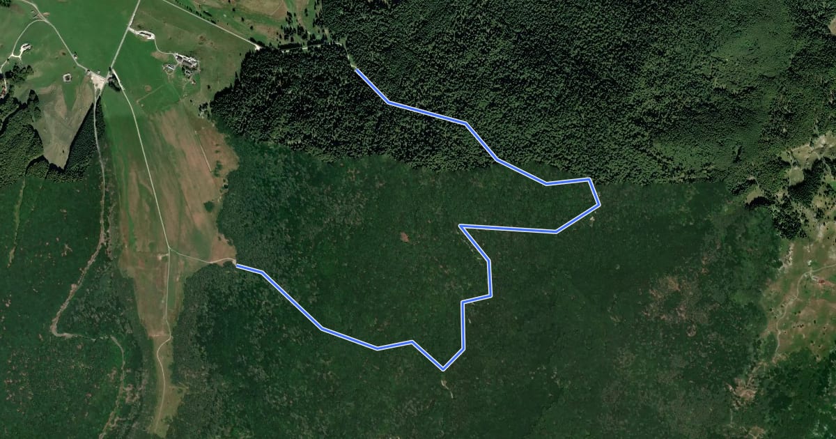 Маршрут Sentiero naturalistico O на спутниковом снимке