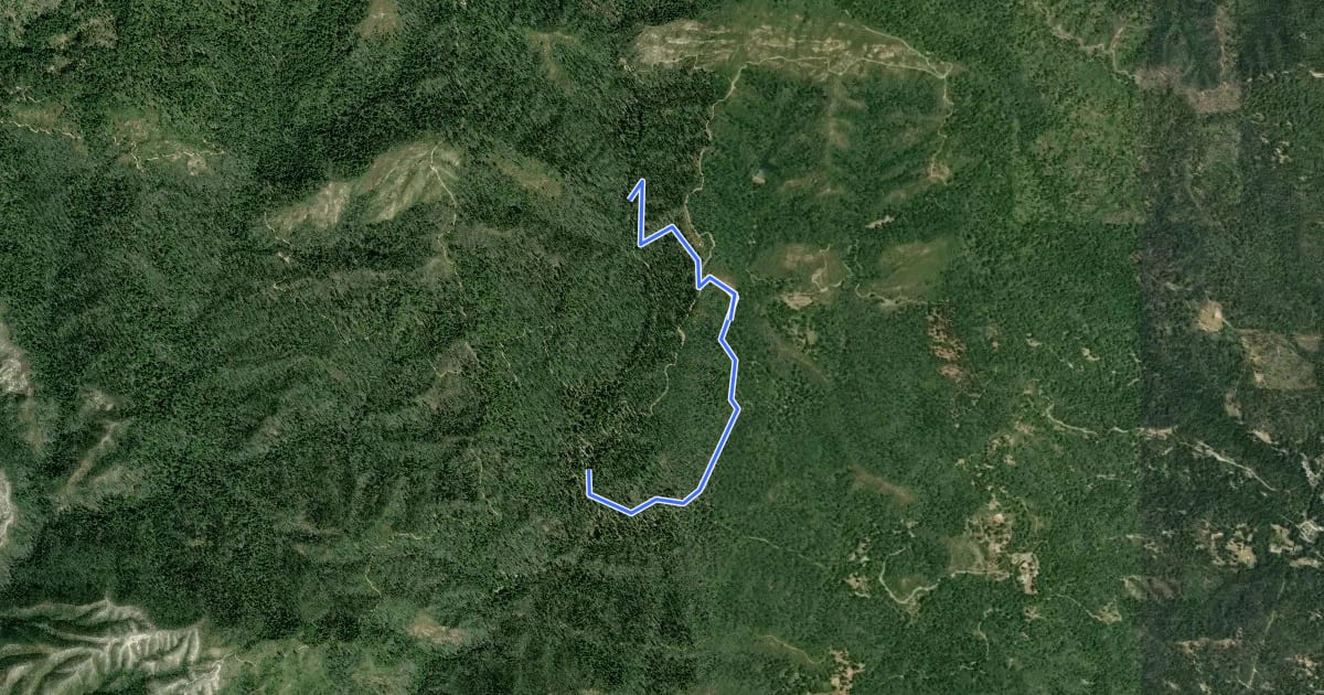 Маршрут Sequoia Trail на спутниковом снимке