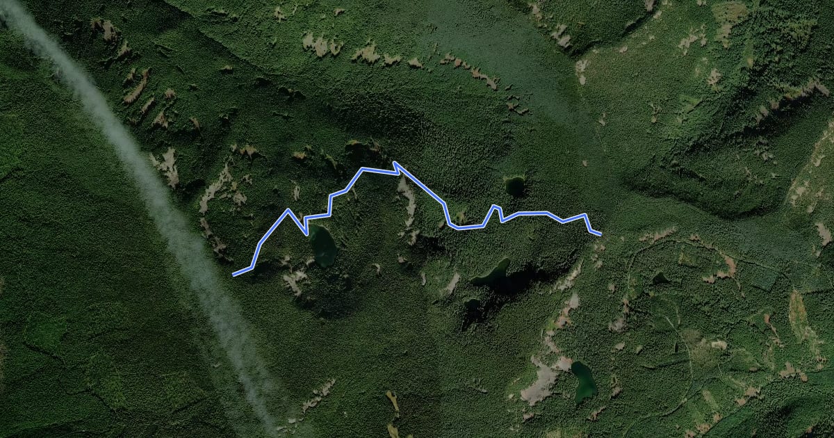 Маршрут Serene Lake Trail #512 на спутниковом снимке