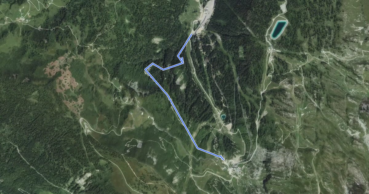 Маршрут Serpentine на спутниковом снимке