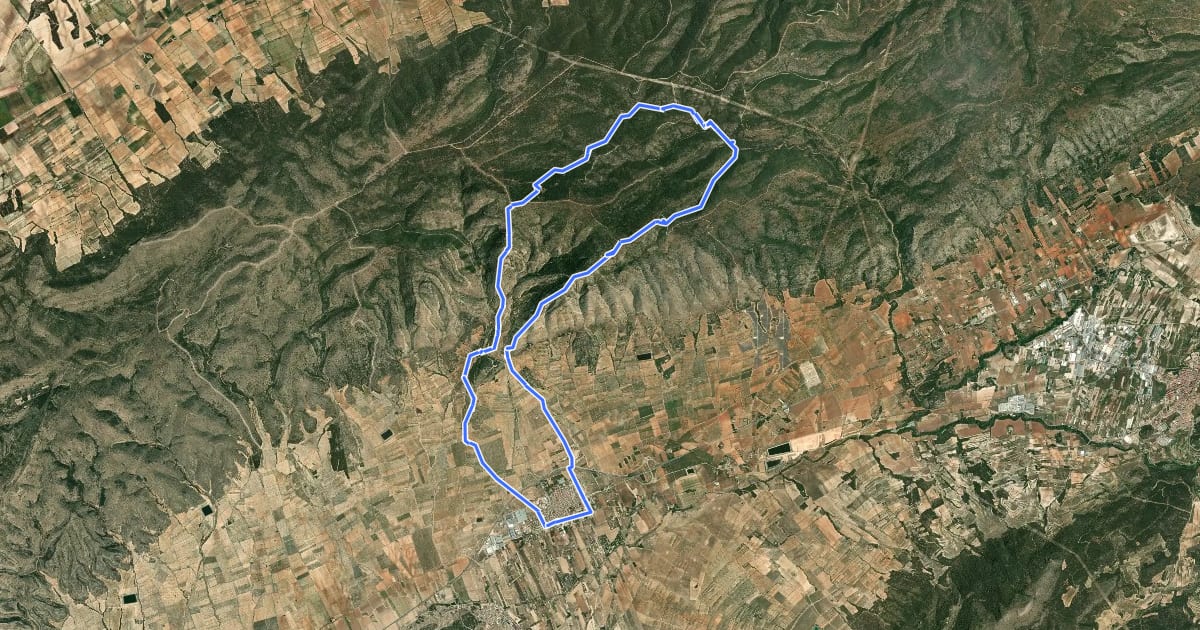 Маршрут Serra de la Solana на спутниковом снимке