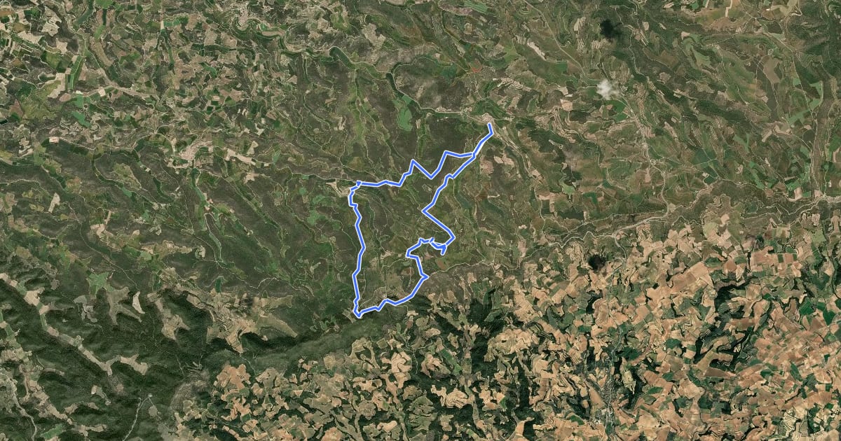 Маршрут Serra del Tallat на спутниковом снимке