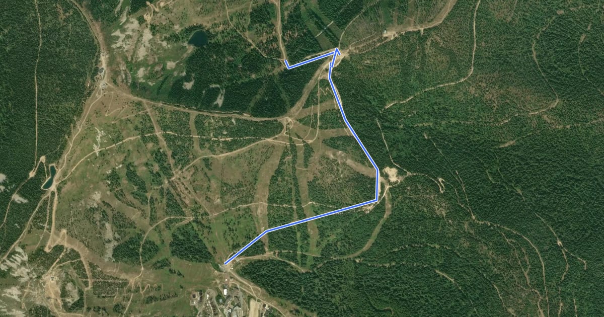 Маршрут Service Road на спутниковом снимке