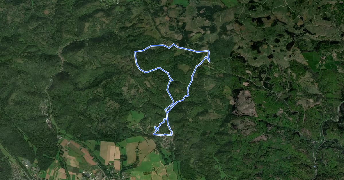 Маршрут SH 1 (Ehren-Bergtour) на спутниковом снимке