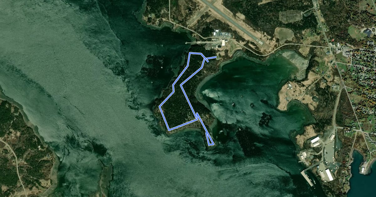 Маршрут Shackford Head Trail на спутниковом снимке