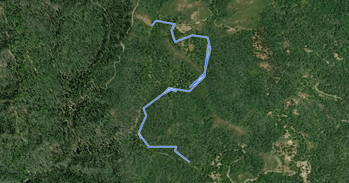 Маршрут Shadowbrook Trail на спутниковом снимке