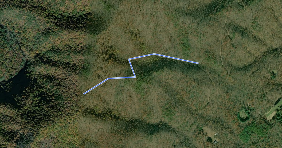 Маршрут Shaffer Hollow Trail на спутниковом снимке