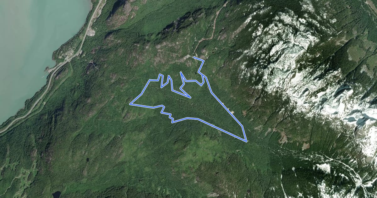 Маршрут Shannon Basin Loop на спутниковом снимке