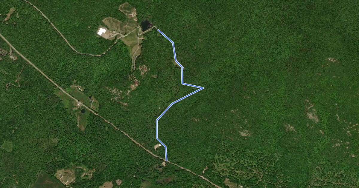 Маршрут Shannon Brook Trail на спутниковом снимке