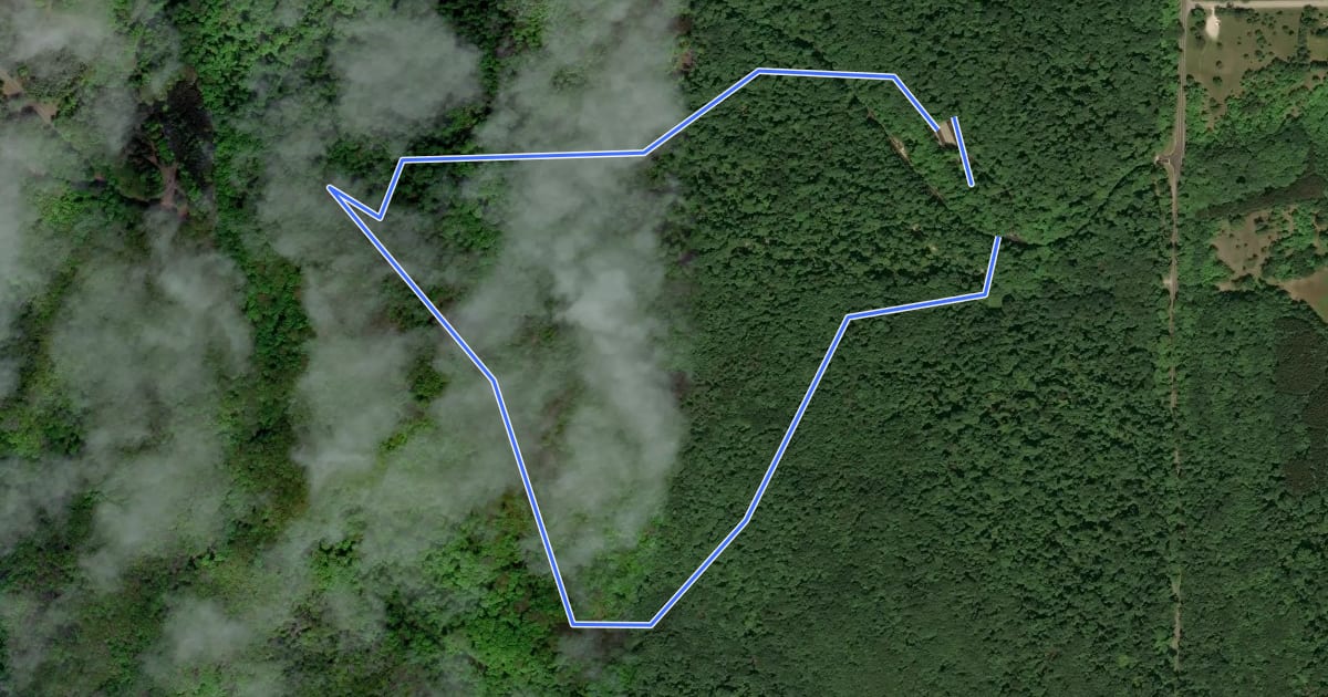 Маршрут Shauger Hill Trail на спутниковом снимке