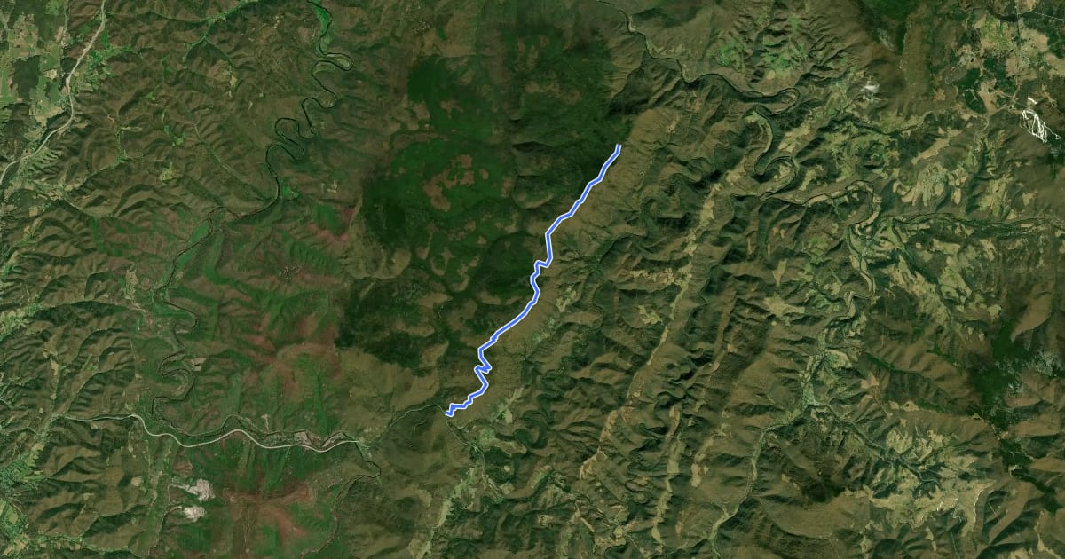 Маршрут Shavers Mountain Trail на спутниковом снимке