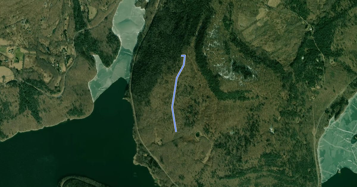 Маршрут Shavertown Trail на спутниковом снимке