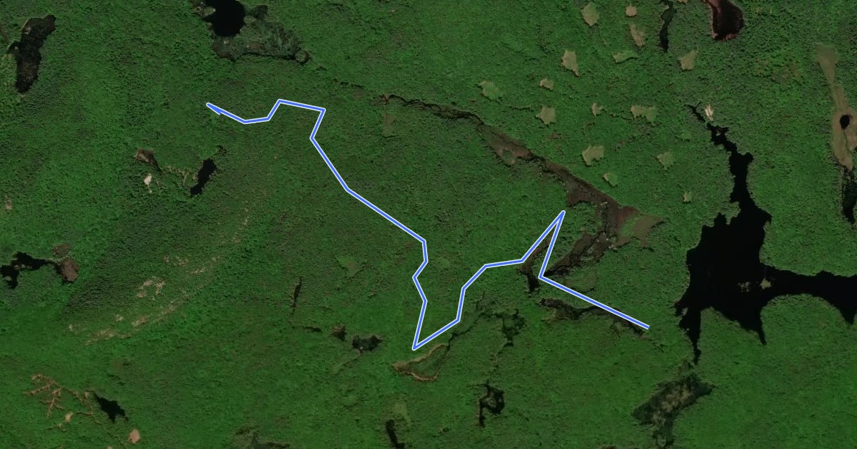Маршрут Shaw Trail на спутниковом снимке