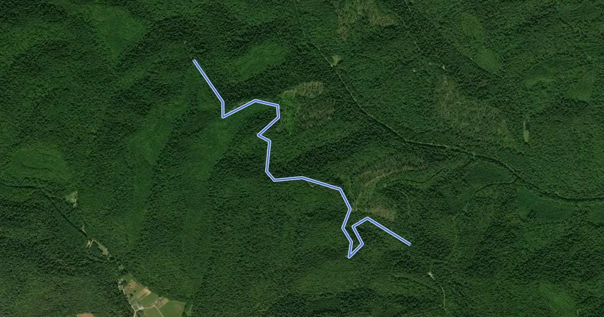 Маршрут Shawnee Forest - Bridle 5 на спутниковом снимке