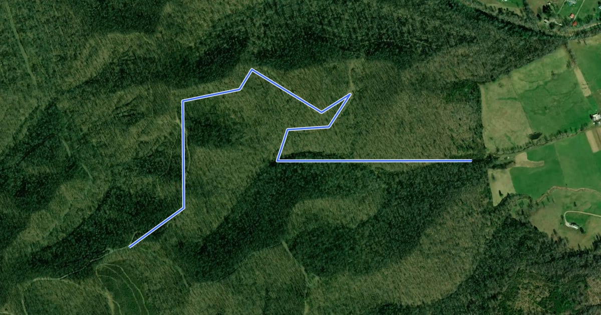 Маршрут Shawnee Forest - Bridle 8 на спутниковом снимке