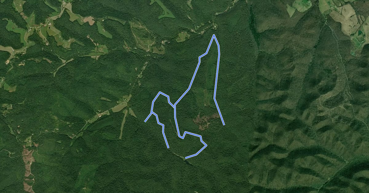 Маршрут Shawnee Forest - Conley's Run на спутниковом снимке