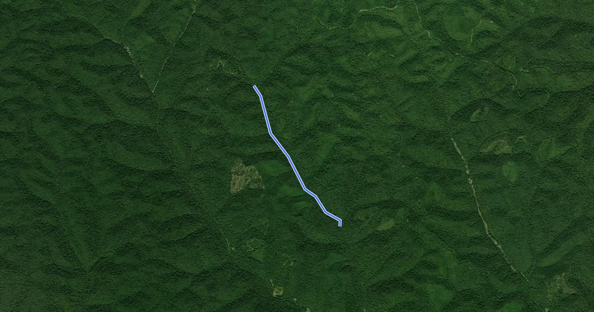 Маршрут Shawnee Forest - East Fork на спутниковом снимке