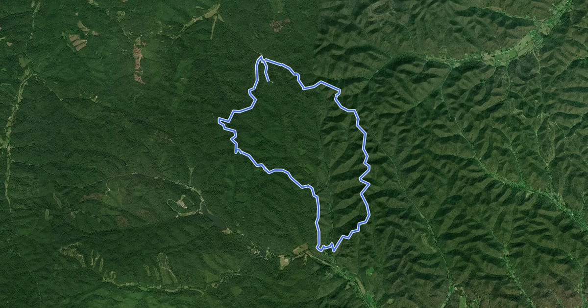 Маршрут Shawnee Forest - Silver Arrow на спутниковом снимке
