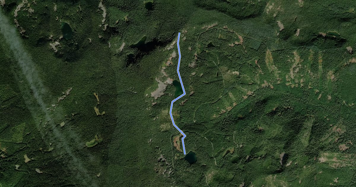 Маршрут Shellrock Lake Trail #700 на спутниковом снимке