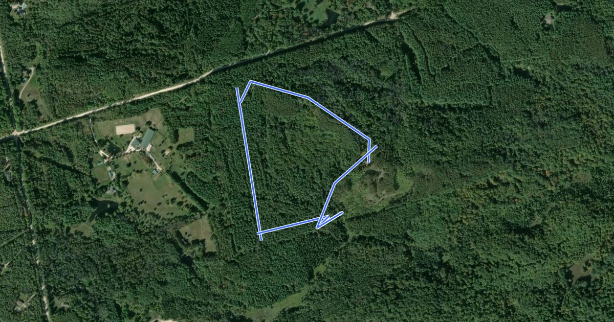 Маршрут Shelly's Loop - Mono Trails на спутниковом снимке