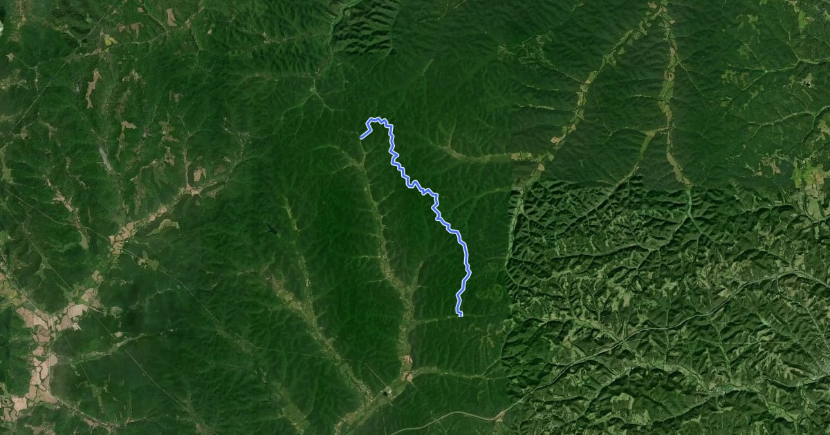 Маршрут Sheltowee Trace NRT Section 1 на спутниковом снимке
