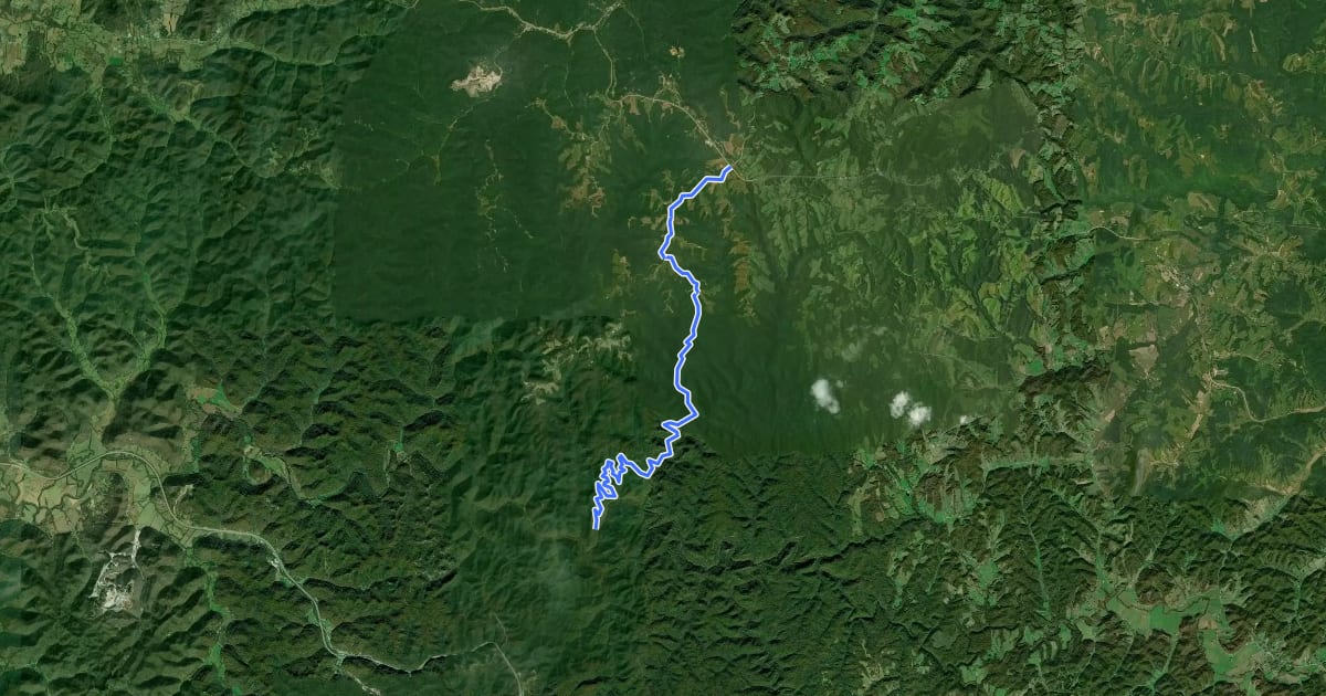 Маршрут Sheltowee Trace NRT Section 12 на спутниковом снимке