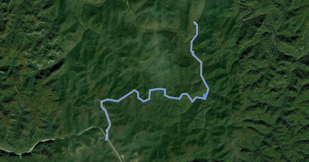 Маршрут Sheltowee Trace NRT Section 13 на спутниковом снимке