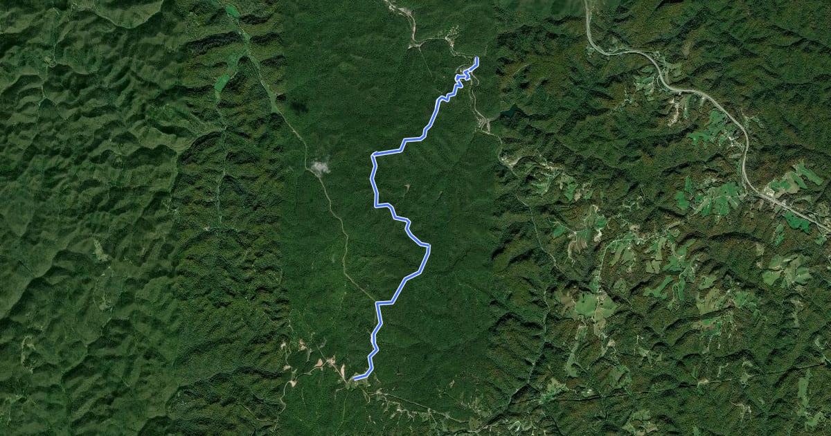 Маршрут Sheltowee Trace NRT Section 15 на спутниковом снимке