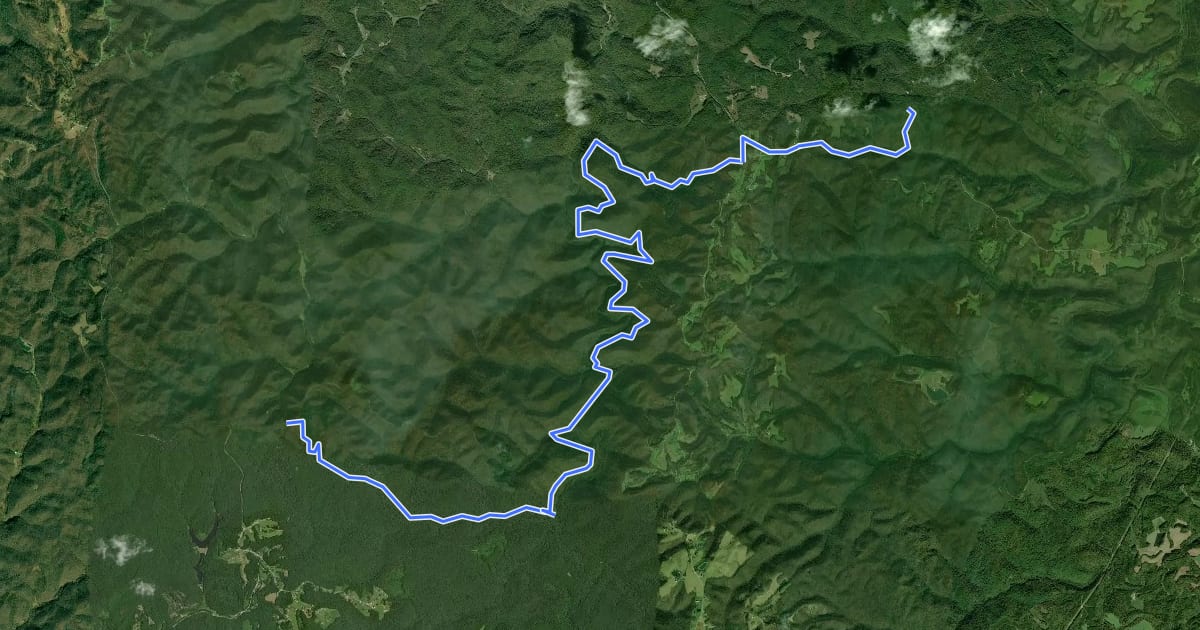 Маршрут Sheltowee Trace NRT Section 19 "Turkey Foot" на спутниковом снимке