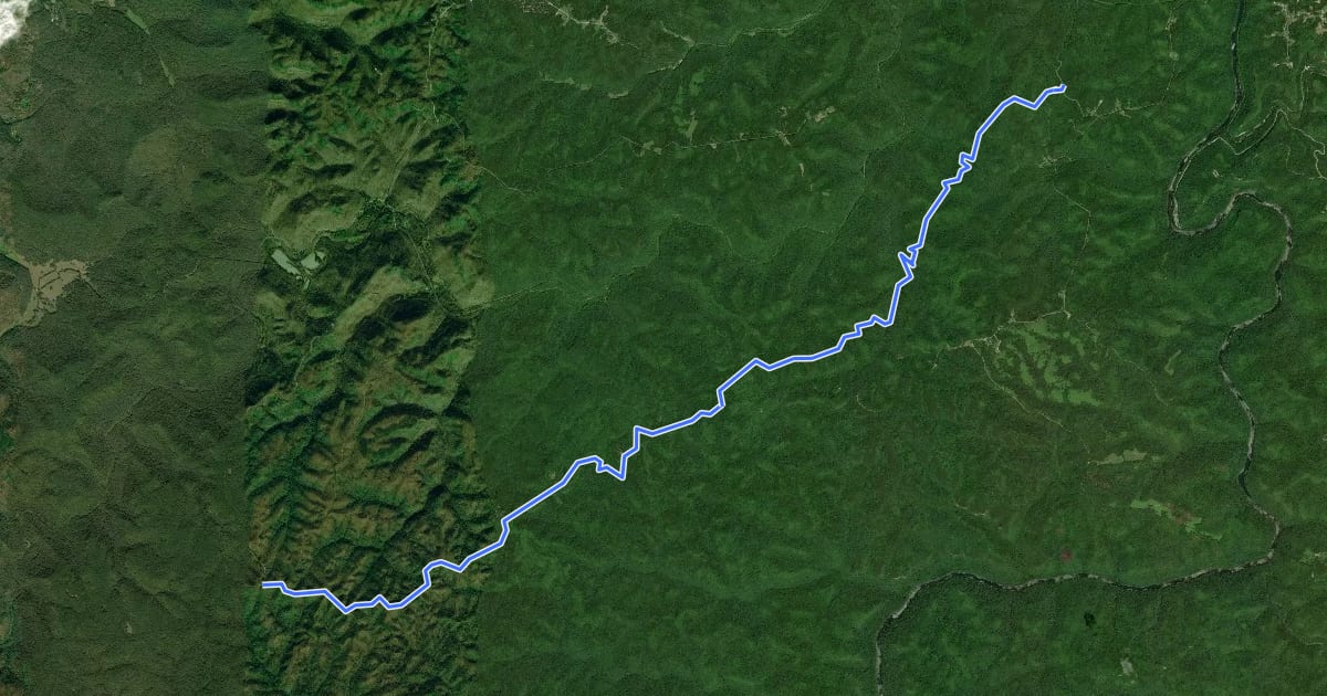 Маршрут Sheltowee Trace NRT Section 36 на спутниковом снимке
