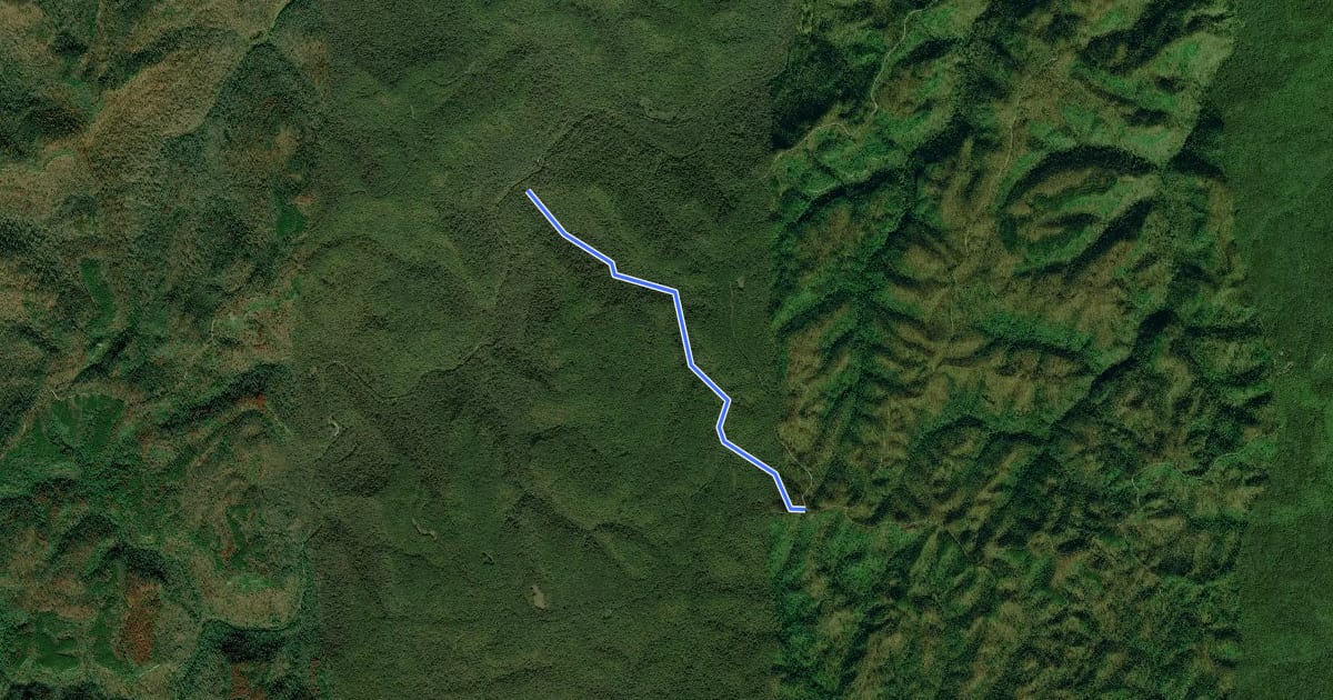 Маршрут Sheltowee Trace NRT Section 37 на спутниковом снимке
