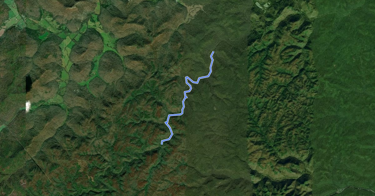 Маршрут Sheltowee Trace NRT Section 38 на спутниковом снимке