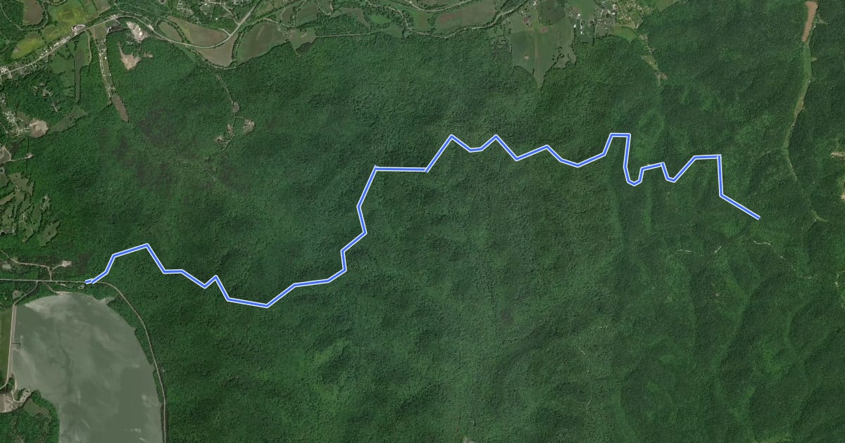 Маршрут Sheltowee Trace NRT Section 8 на спутниковом снимке