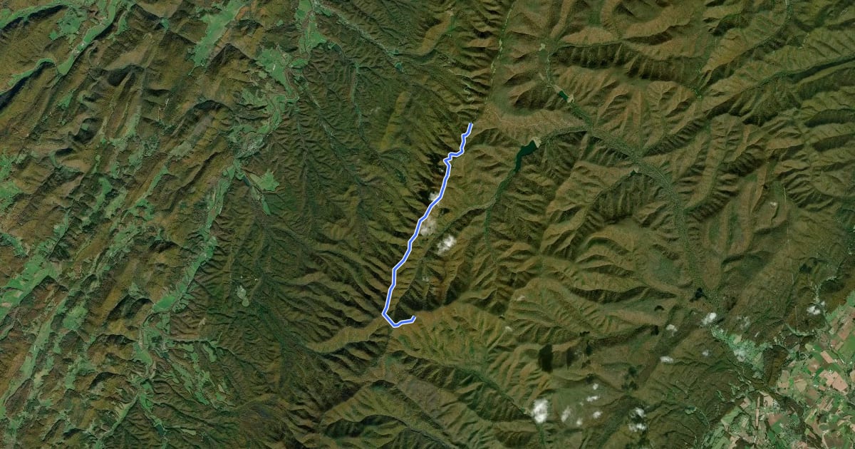 Маршрут Shenandoah Mountain Trail на спутниковом снимке
