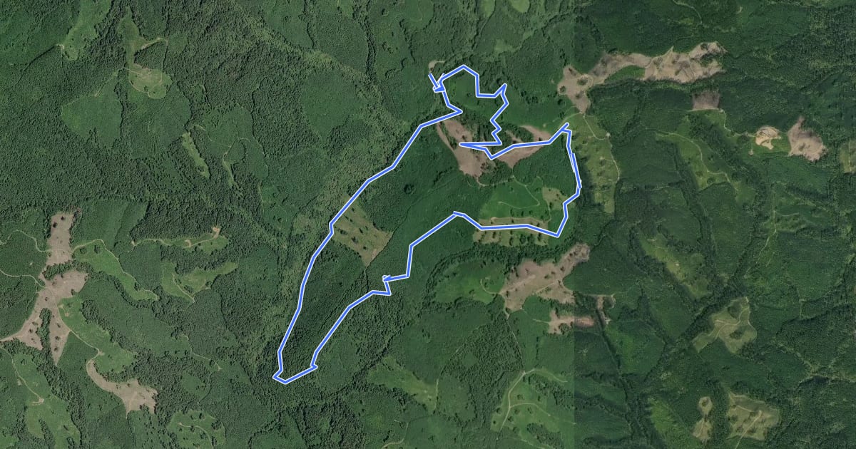 Маршрут Sherman Creek Loop на спутниковом снимке